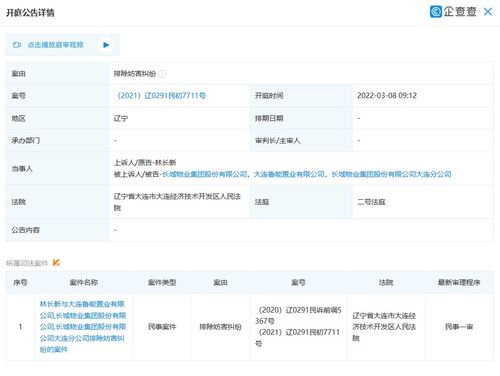 大連魯能置業新增開庭公告 案由為排除妨害糾紛引發關注
